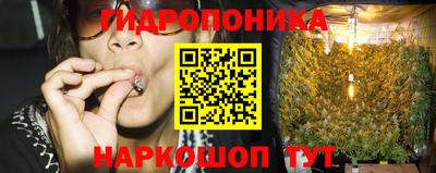 PSILOCYBIN Бийск