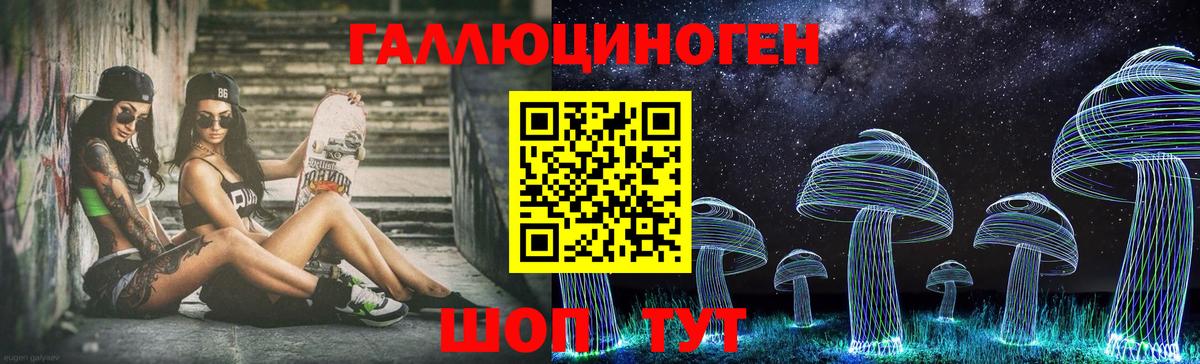 Галлюциногенные грибы Psilocybe Зеленодольск